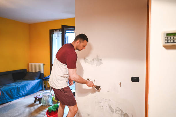 Best Kitchen Mold Remediation in Cornell, WI